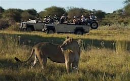 Game Drive in Moreimi