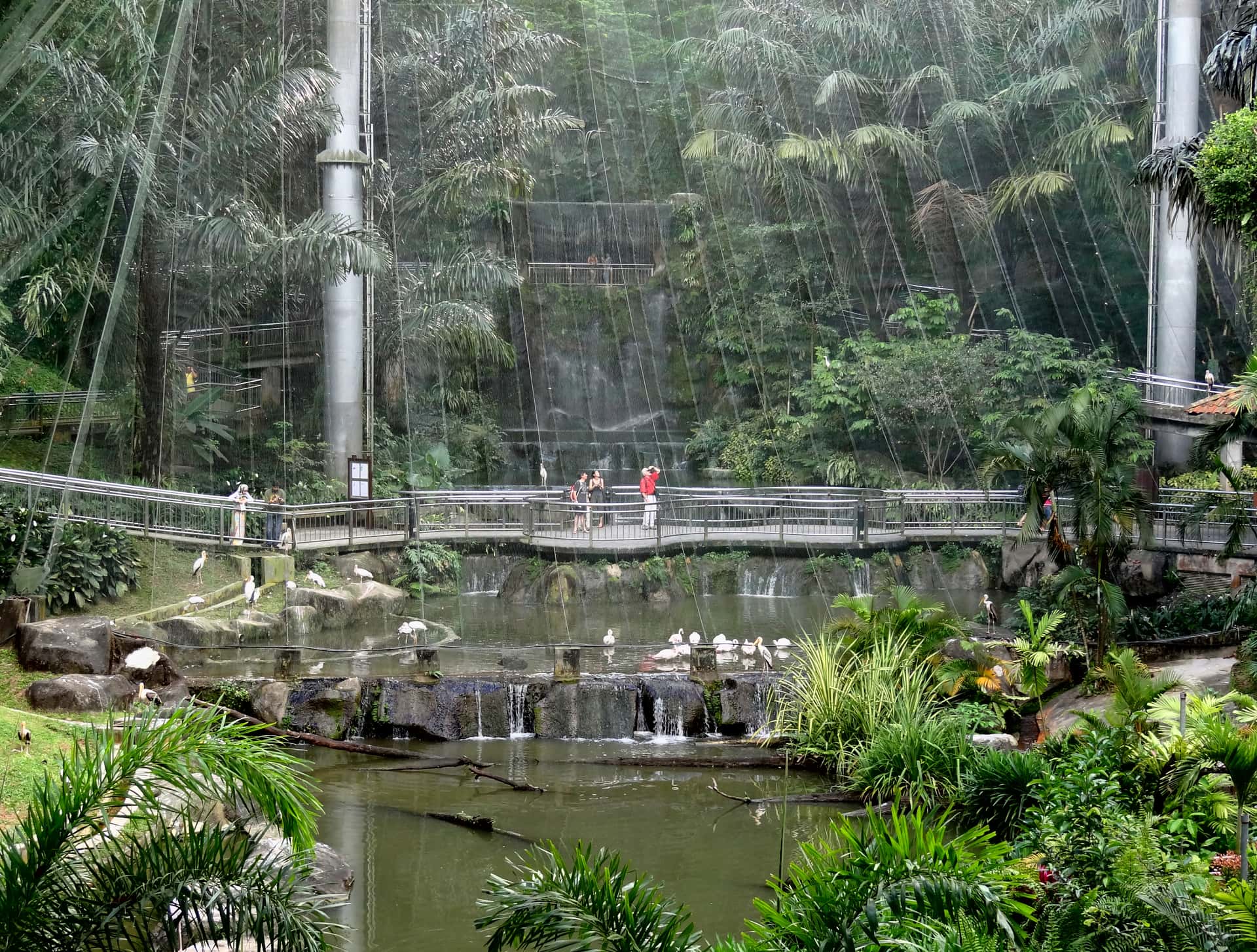 Bird Park in Discovery Southeast Tours