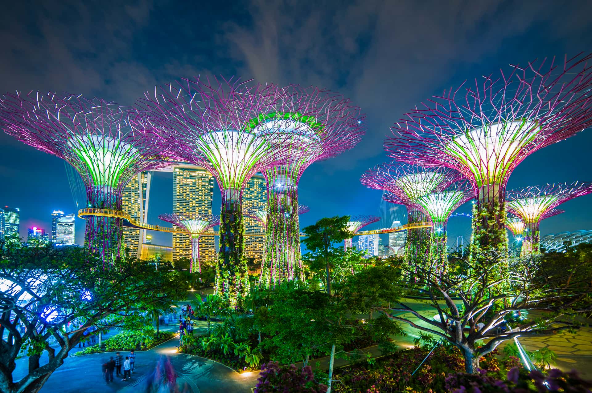 Gardens By The Bay in Discovery Southeast Tours