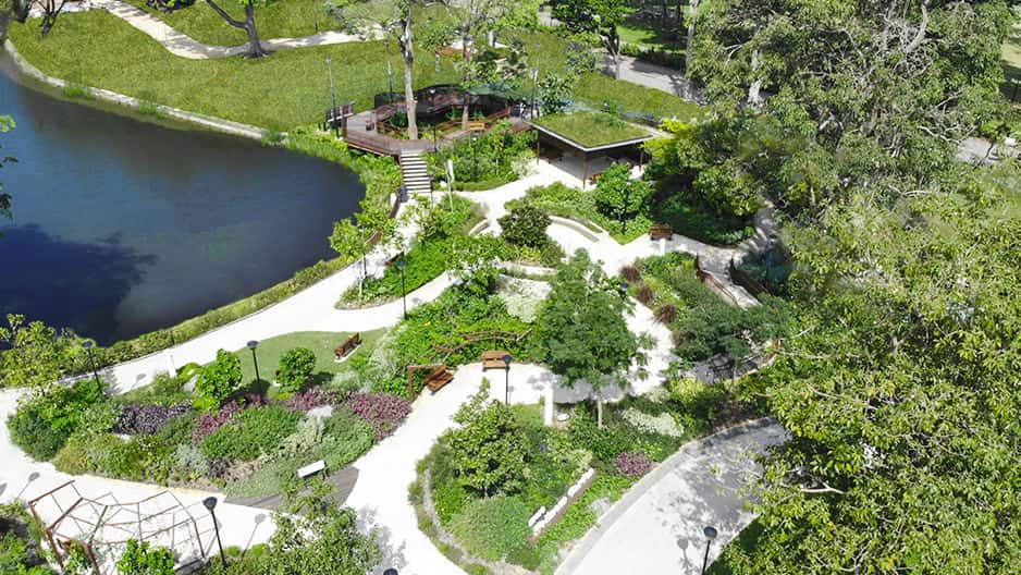 Get sporty at East Coast Park in Discovery Southeast Tours