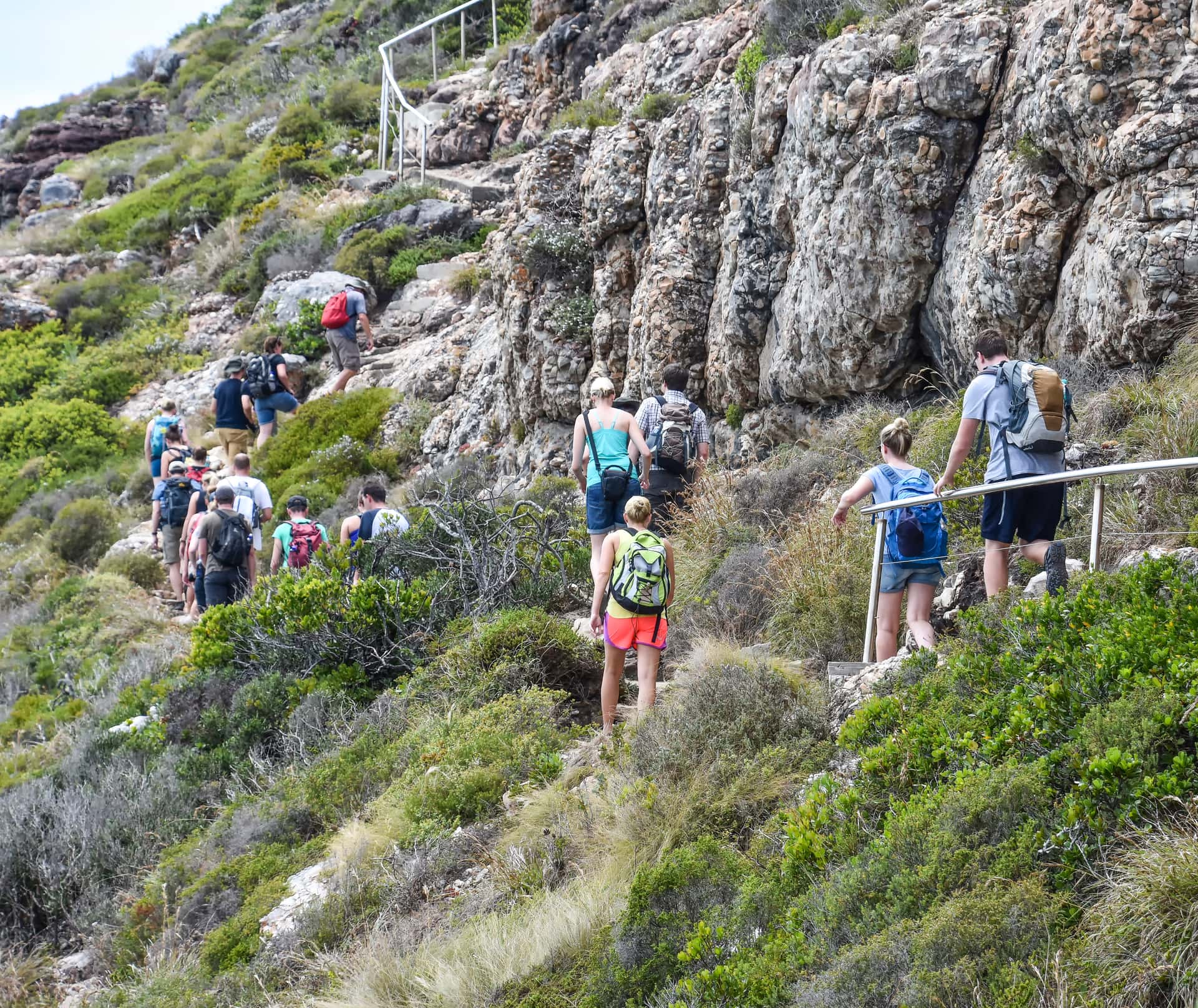 Go Table Mountain Adventure Hiking in Discovery South Africa Tours