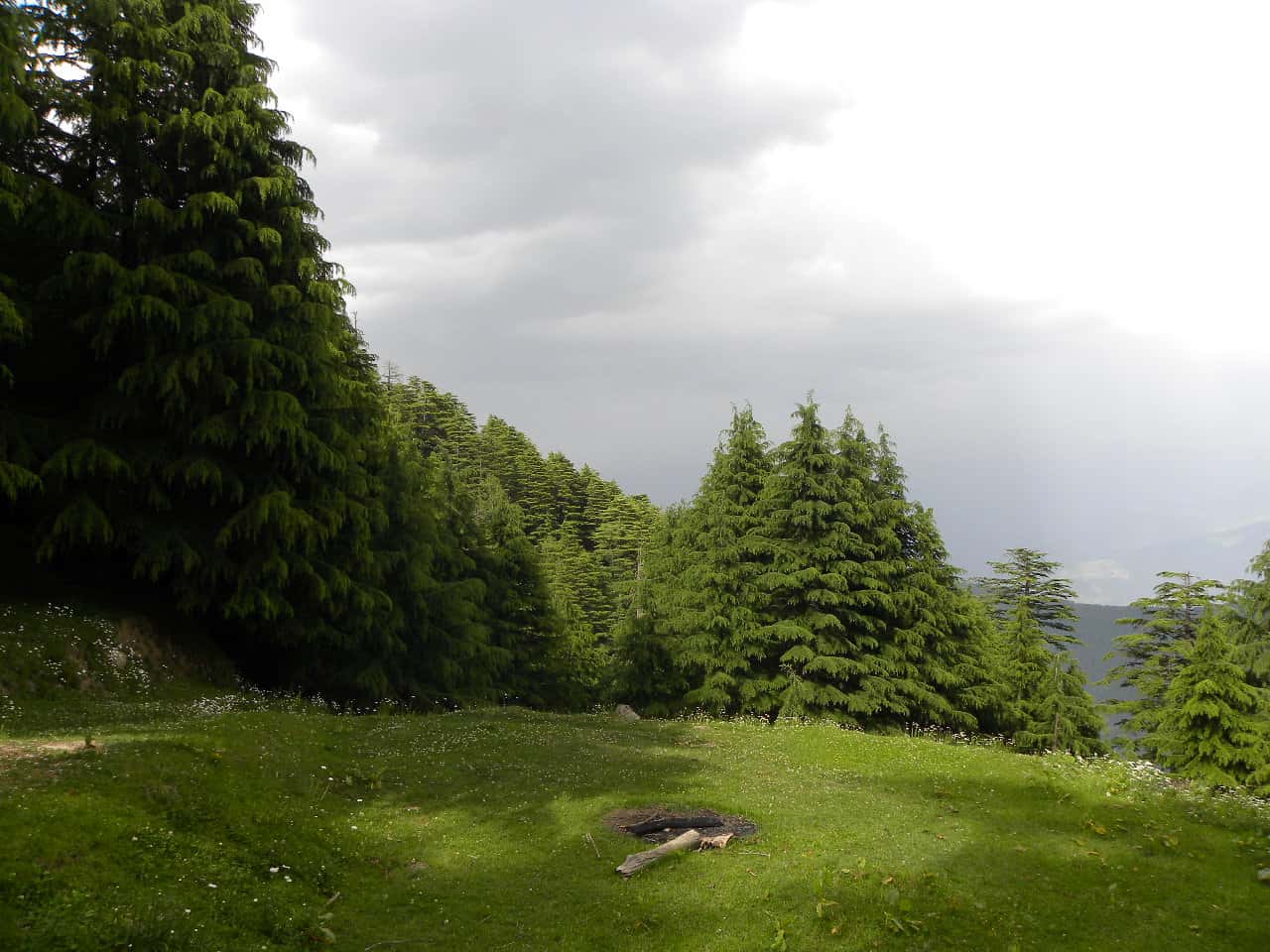 Kalatop Wildlife Sanctuary in Himachal