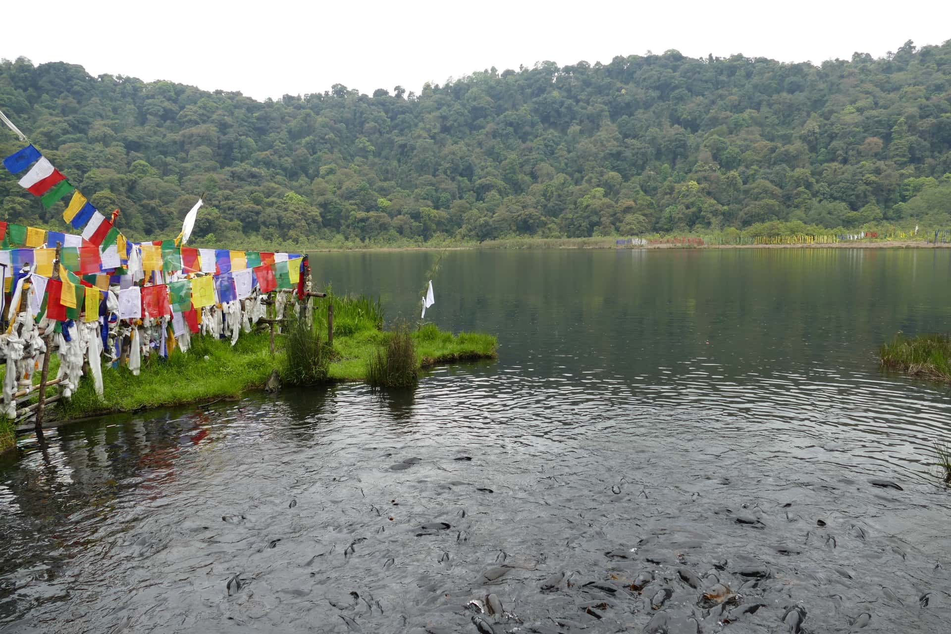 Khecheopalri Lake Pelling in Sikkim