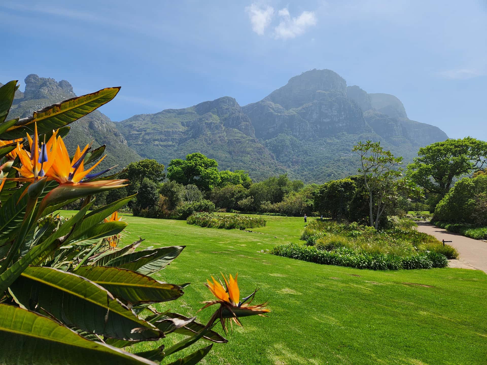Kirstenbosch Botanical Garden in Discovery South Africa Tours