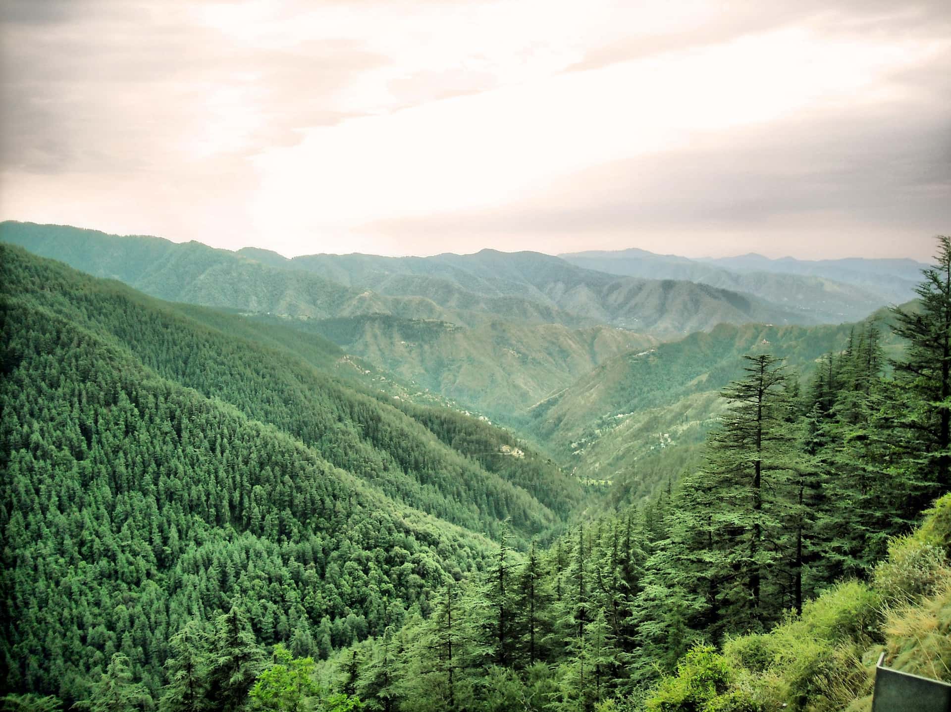Kufri Valley in Himachal