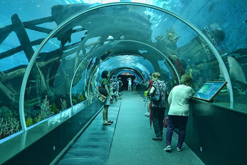 Marine Park S.E.A Aquarium in Discovery Southeast Tours