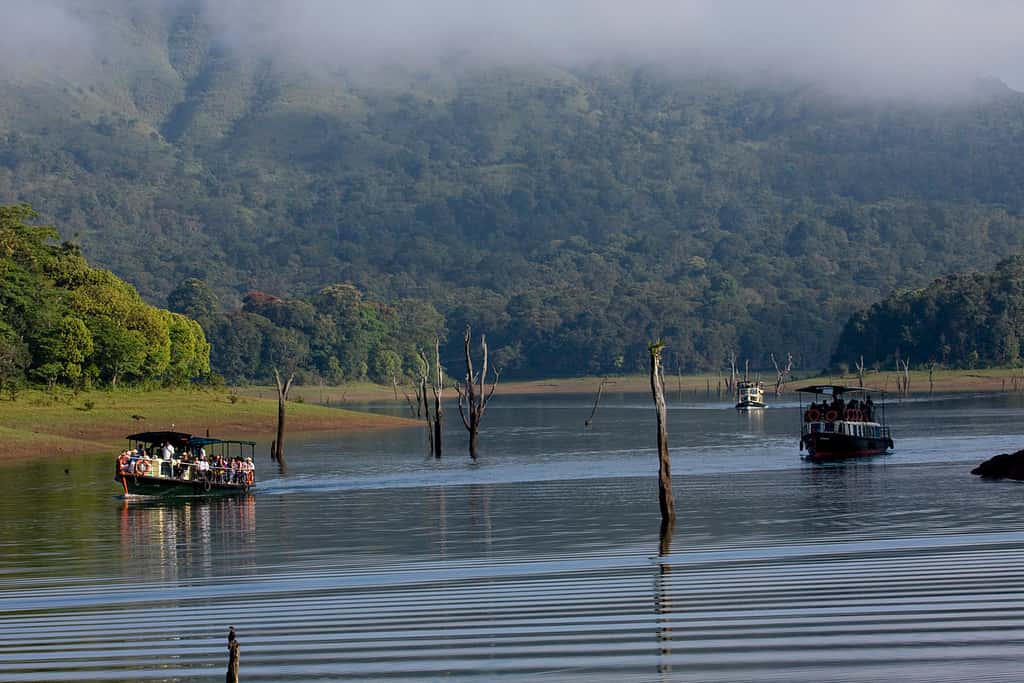 Thekaddy in North Kerala