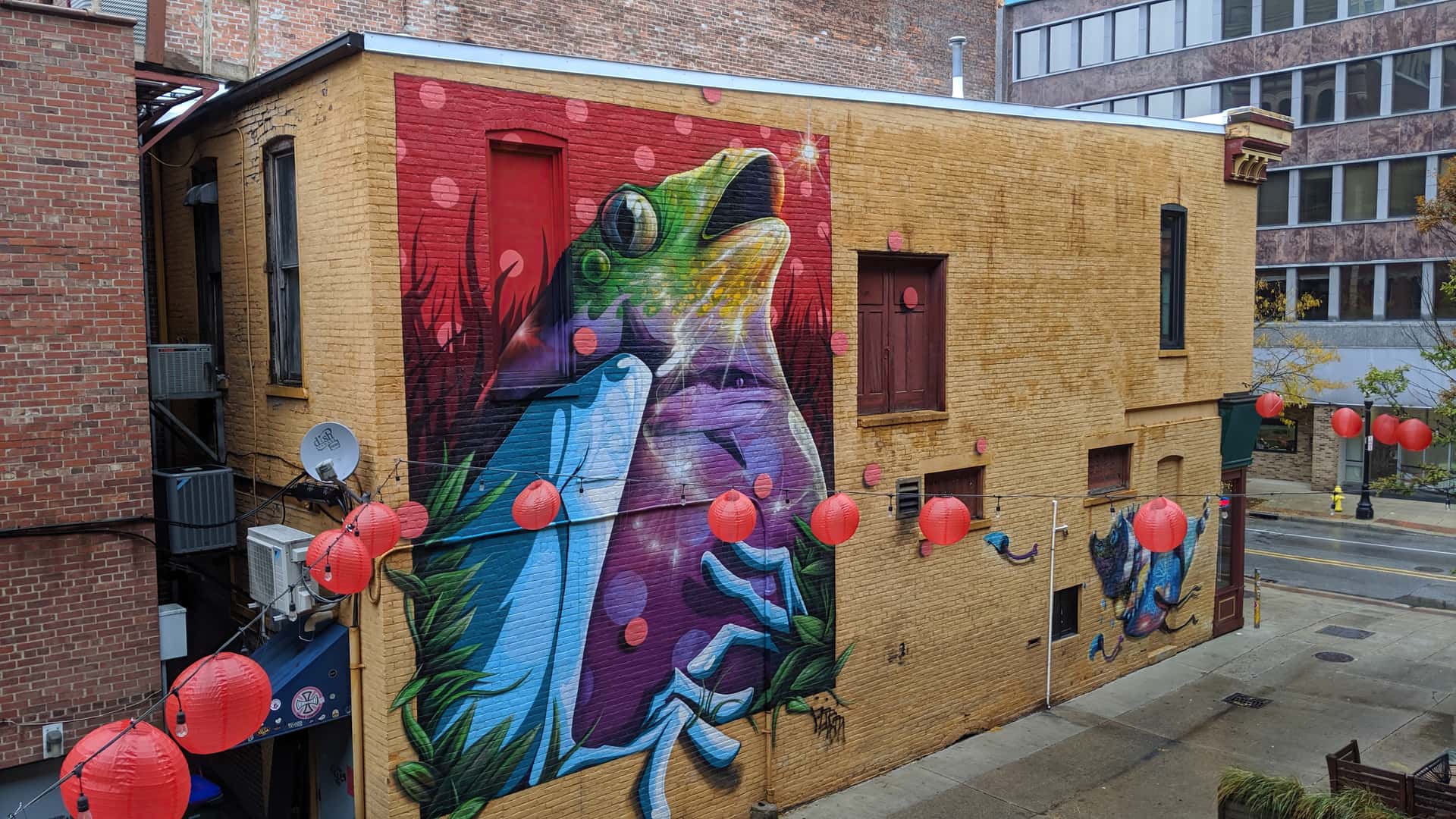 Check out the amazing street art in Australia - New Zealand