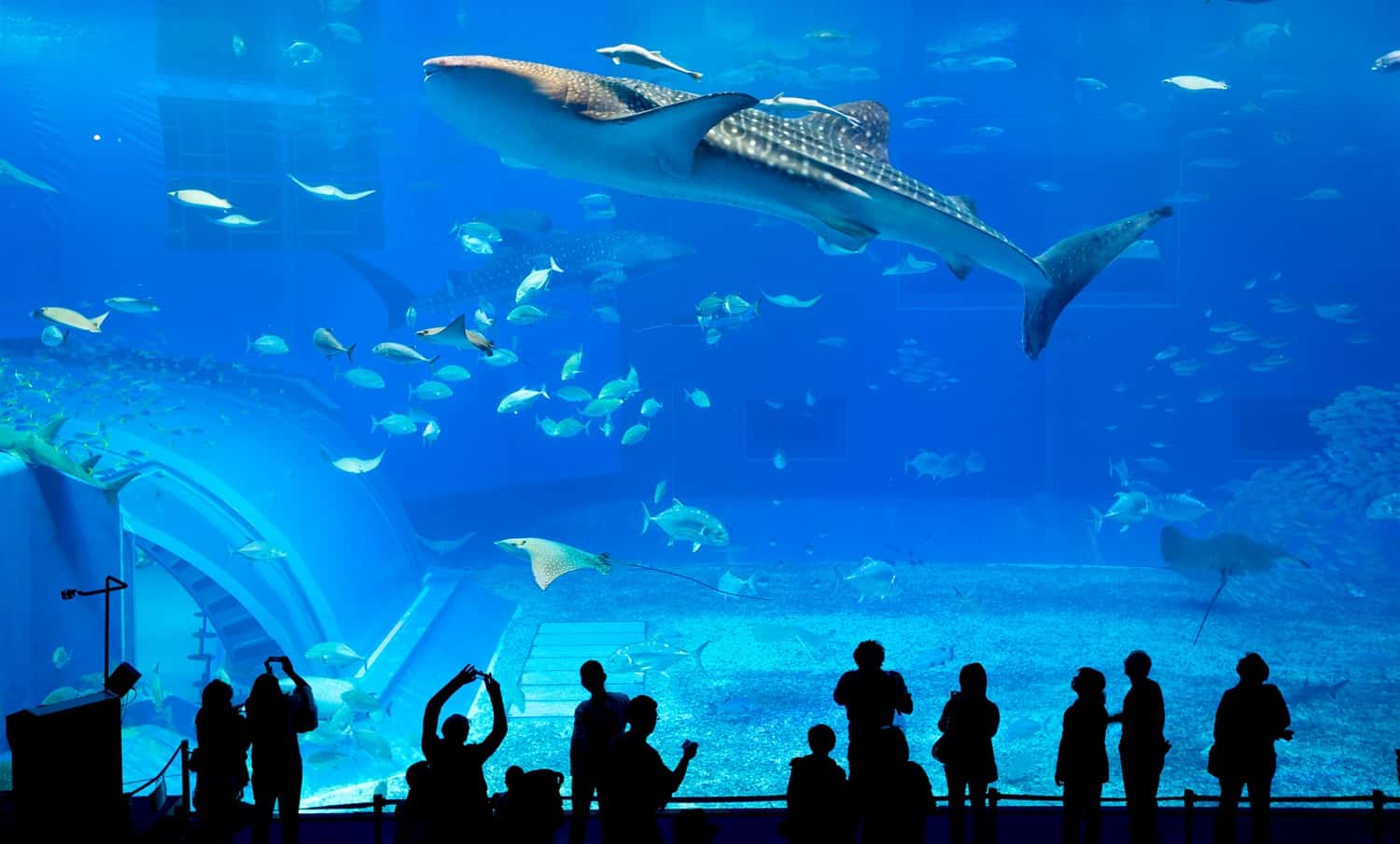 Aquaria KLCC in Southeast City Break Tours