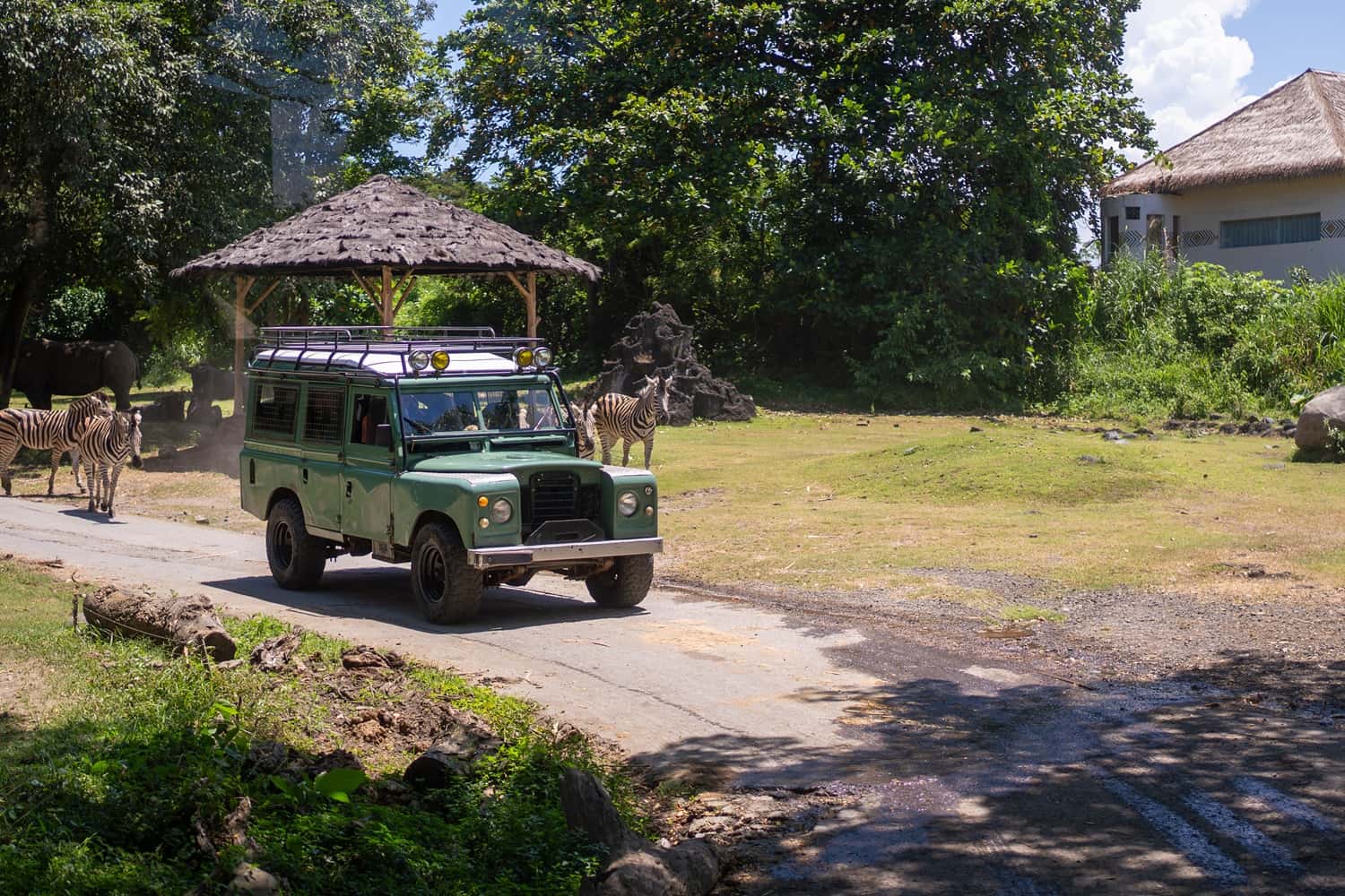 Bali Safari & Marine Park in Southeast City Break Tours