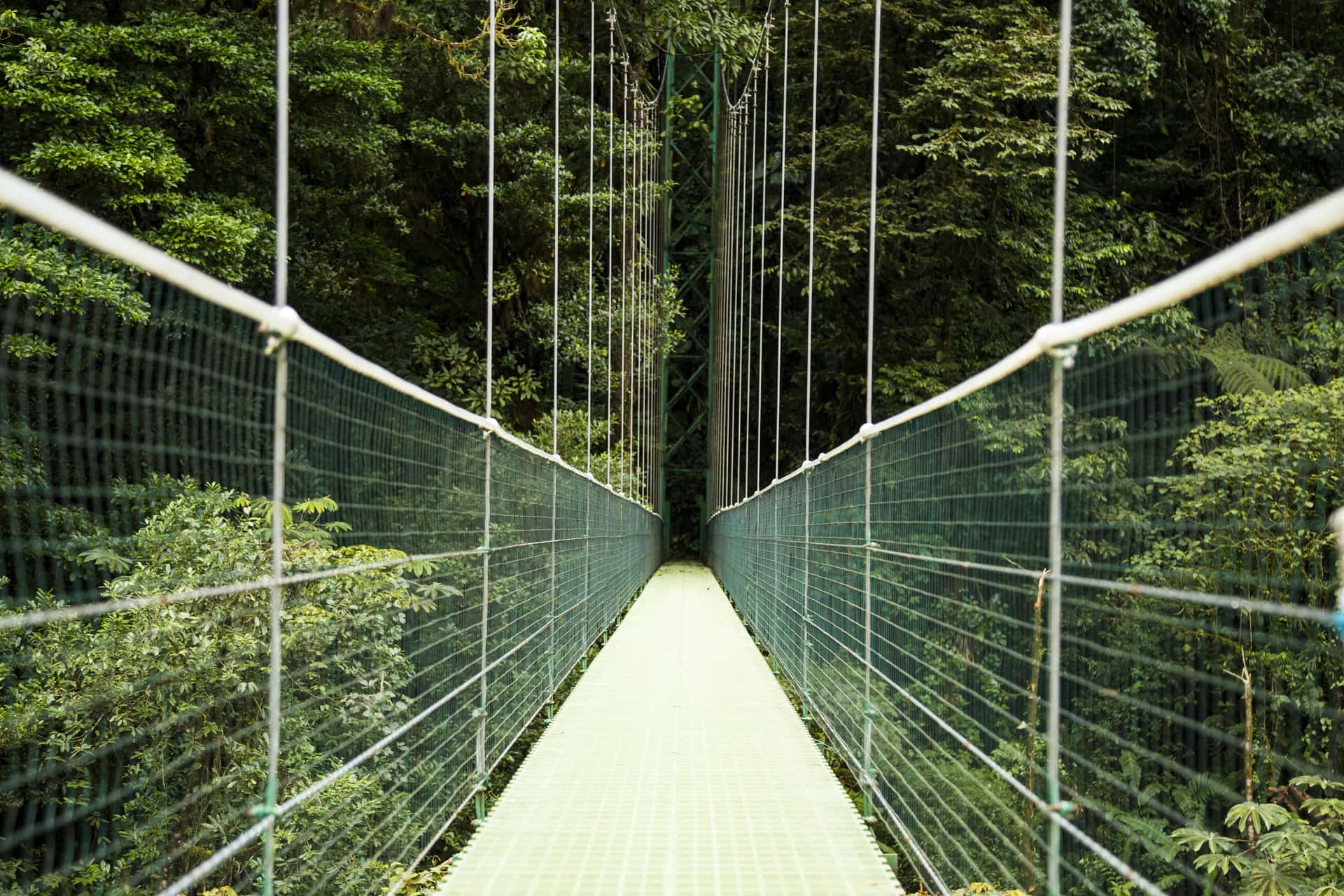 Capilano Suspension Bridge in Canada