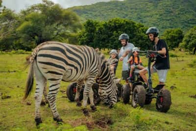 Try Casela Natural Park Segway tour in Mauritius