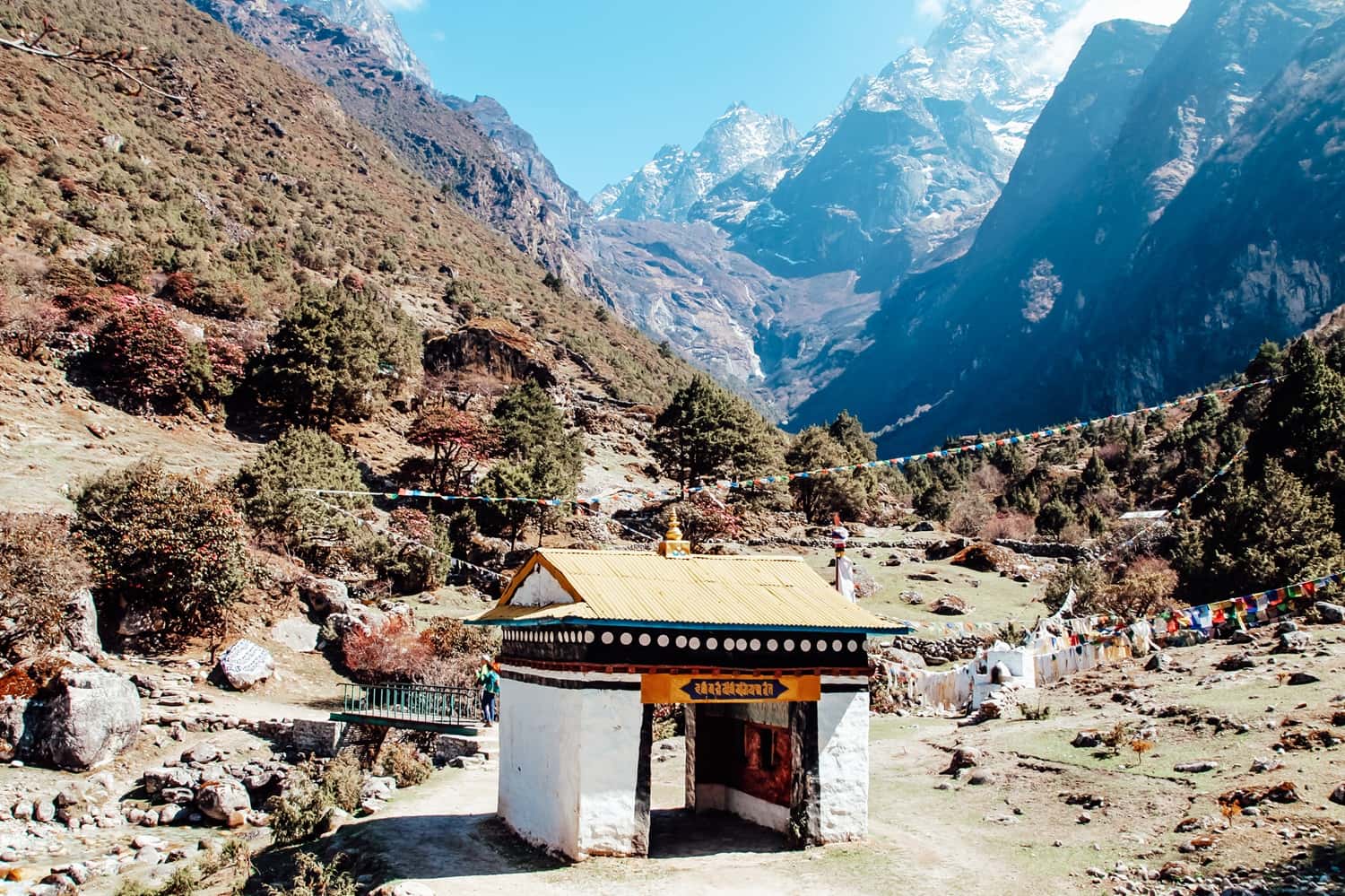 Drive To Yuksom in Sikkim