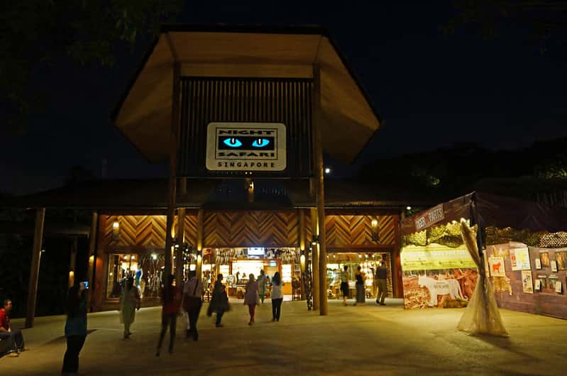 Night Safari in Southeast City Break Tours