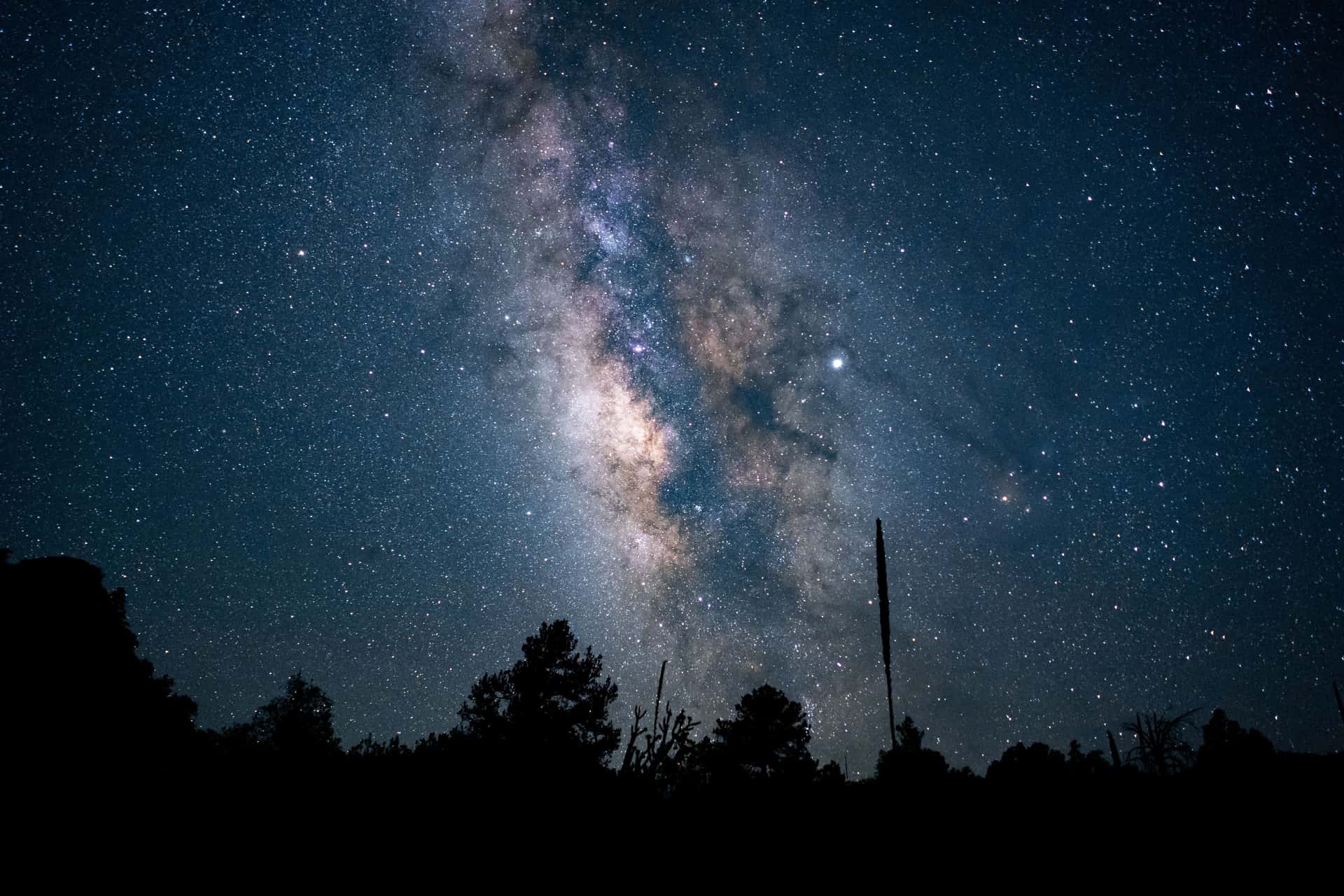 Stargaze In Jasper in Canada