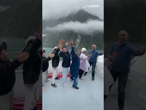 Milford Sound Cruise of New Zealand