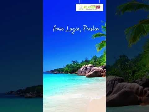 Top 5 Beaches in Seychelles!