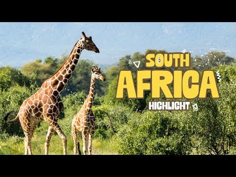 South Africa Highlights | Travel Vlog
