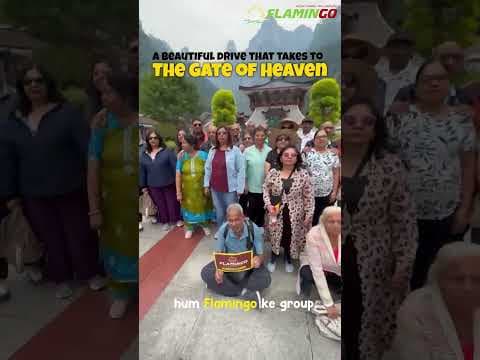 Tianmen Mountain: Exploring China’s Stunning "Gate of Heaven" #chinatravel #shorts