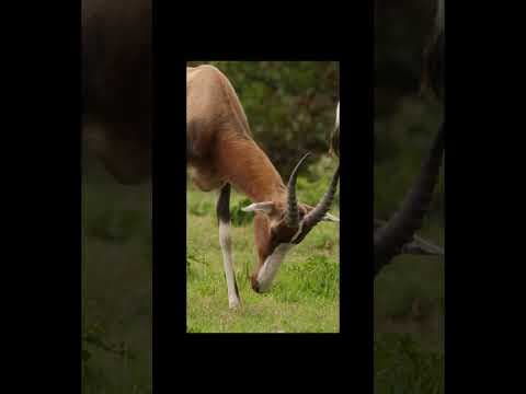 South Africa in 15 Seconds