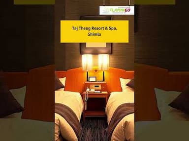 Here are 6 best flamingo recommended hotels in India