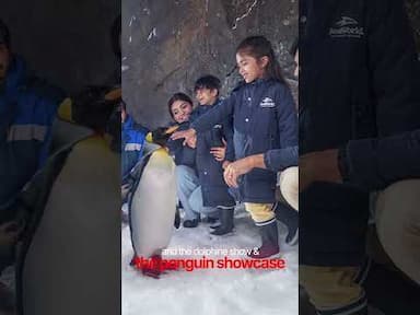 2 Different Experiences in Yas Island Abu Dhabi