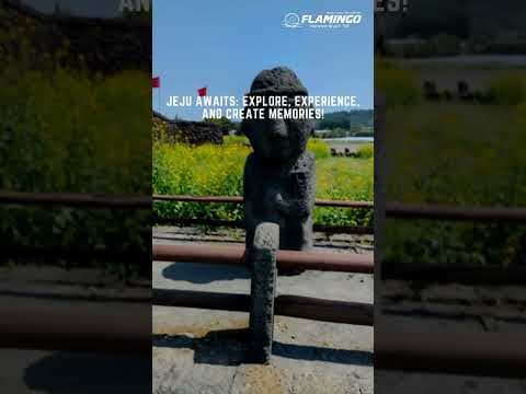  Jeju Island Korea Trip