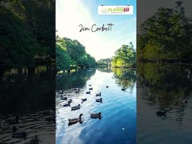 Best places to visit in Uttarakhand !