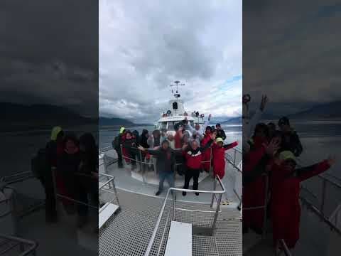 Whale Watching at Akureyri, Iceland 