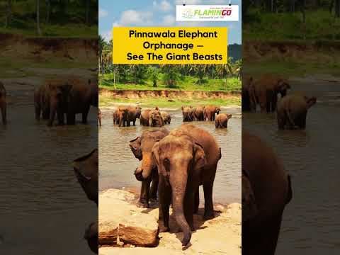 Sri Lanka opens for tourism - Are you all ready to explore these beautiful places in Sri Lanka?
