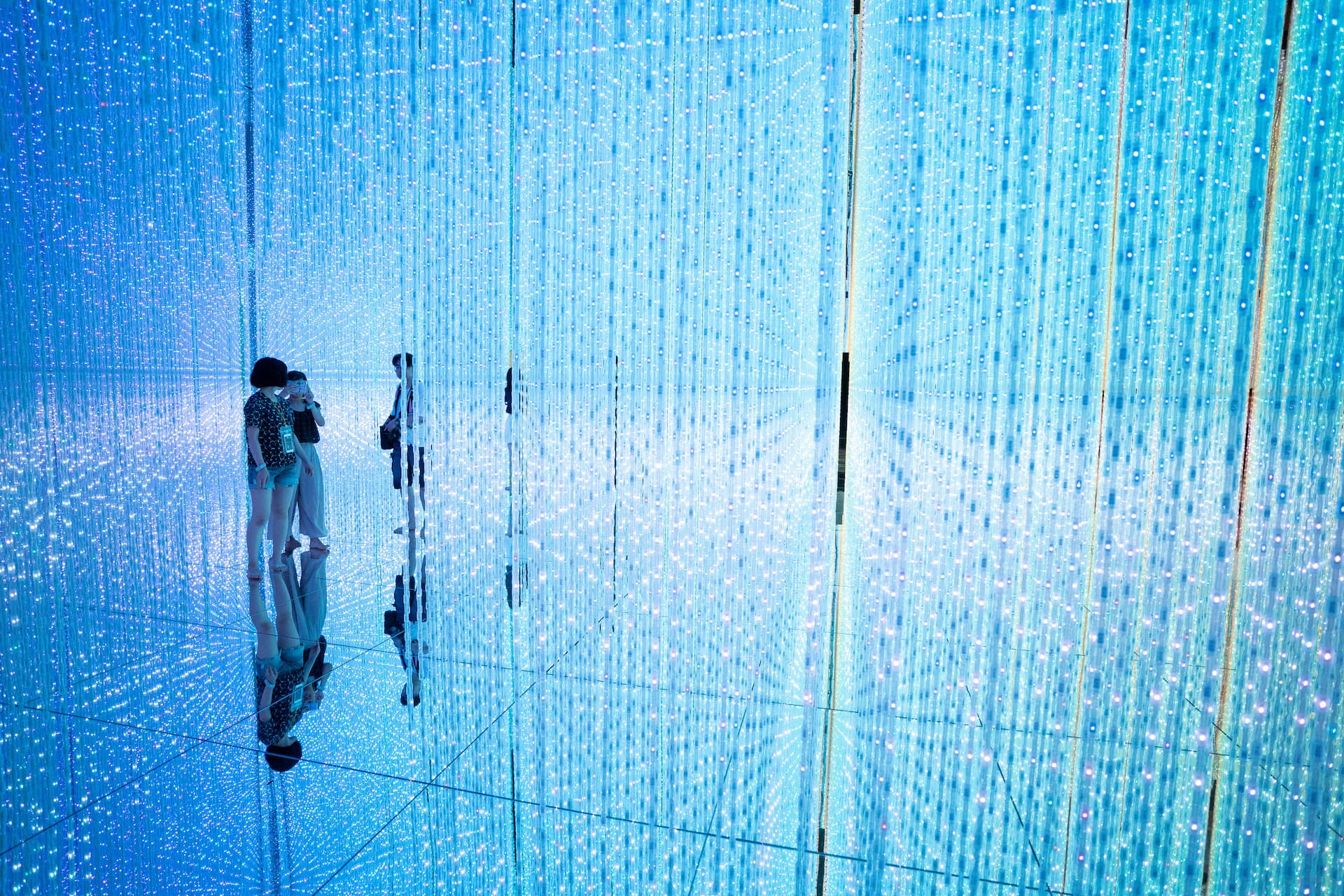 Team Lab Phenomena 1