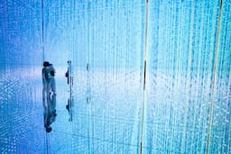 Team Lab Phenomena 1