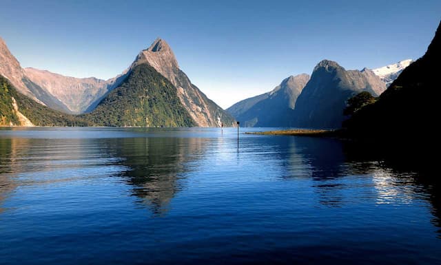 Experience New Zealand With Chef