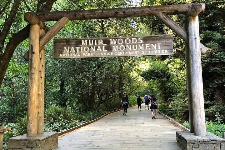 Muir Woods