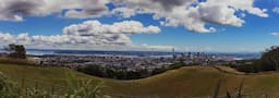 Auckland City 2
