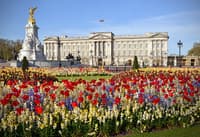 Buckingham palace 