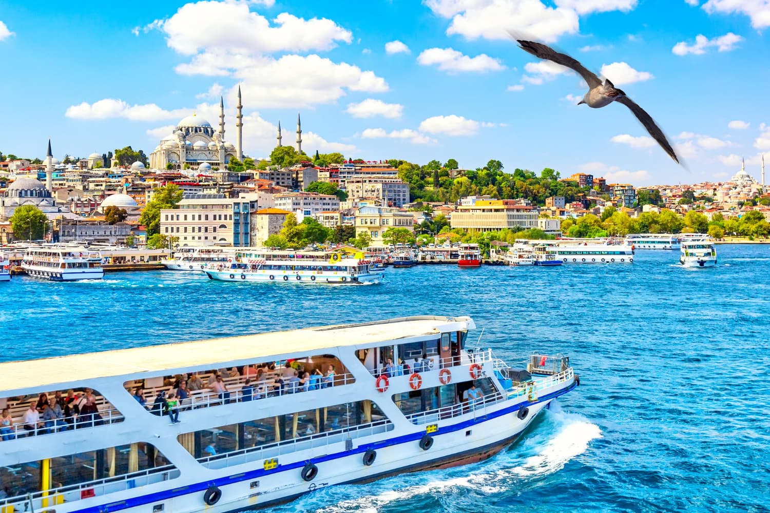 Bosphorus Cruise Istanbul 