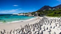 Boulders Beach