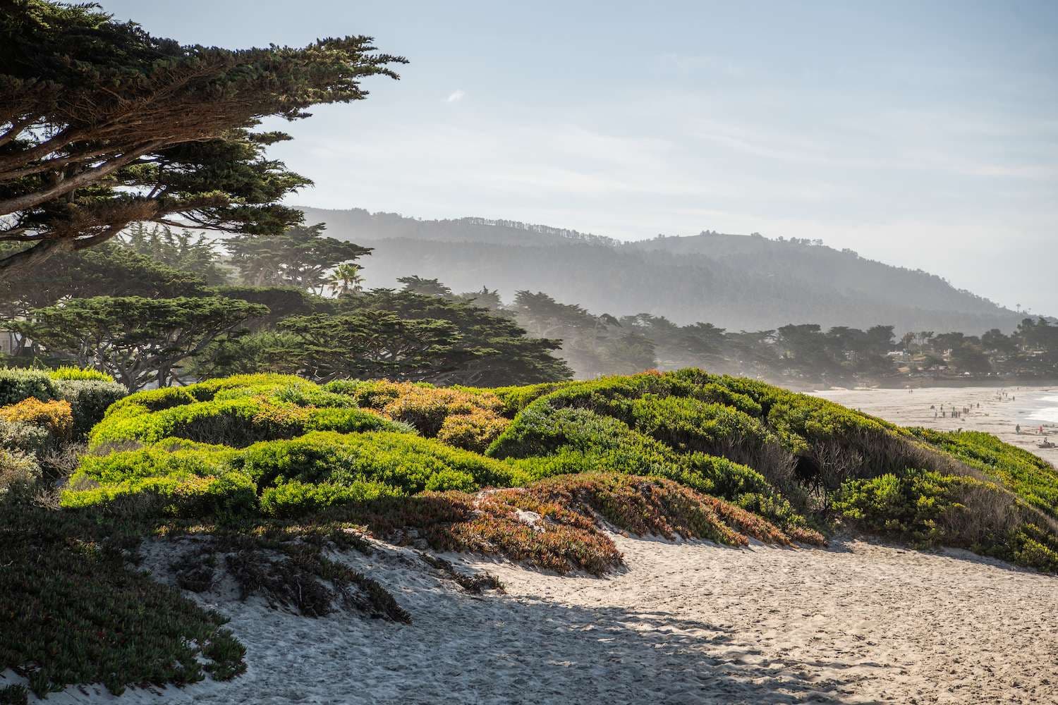 Carmel