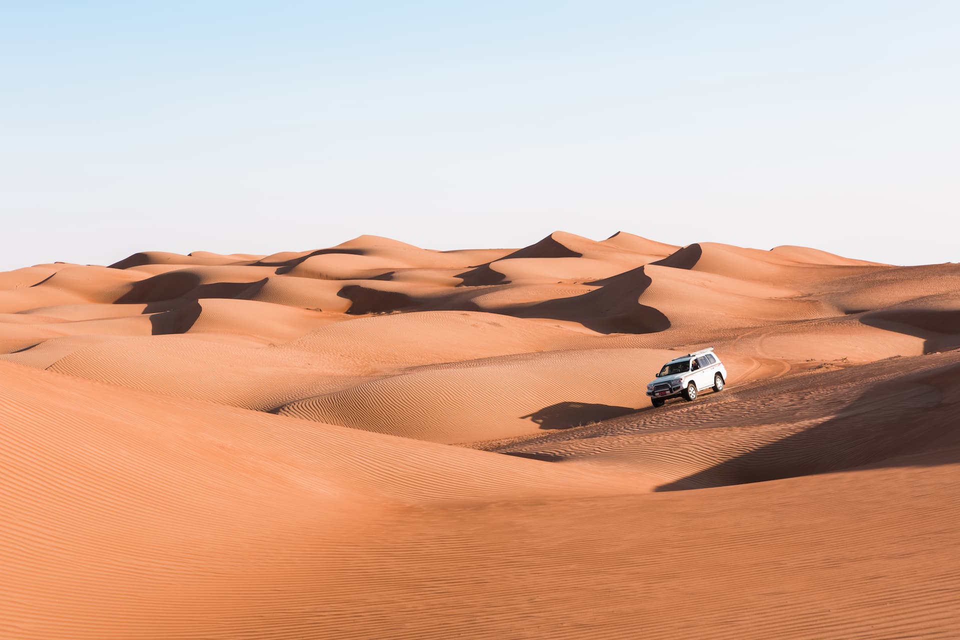 Desert Safari 1