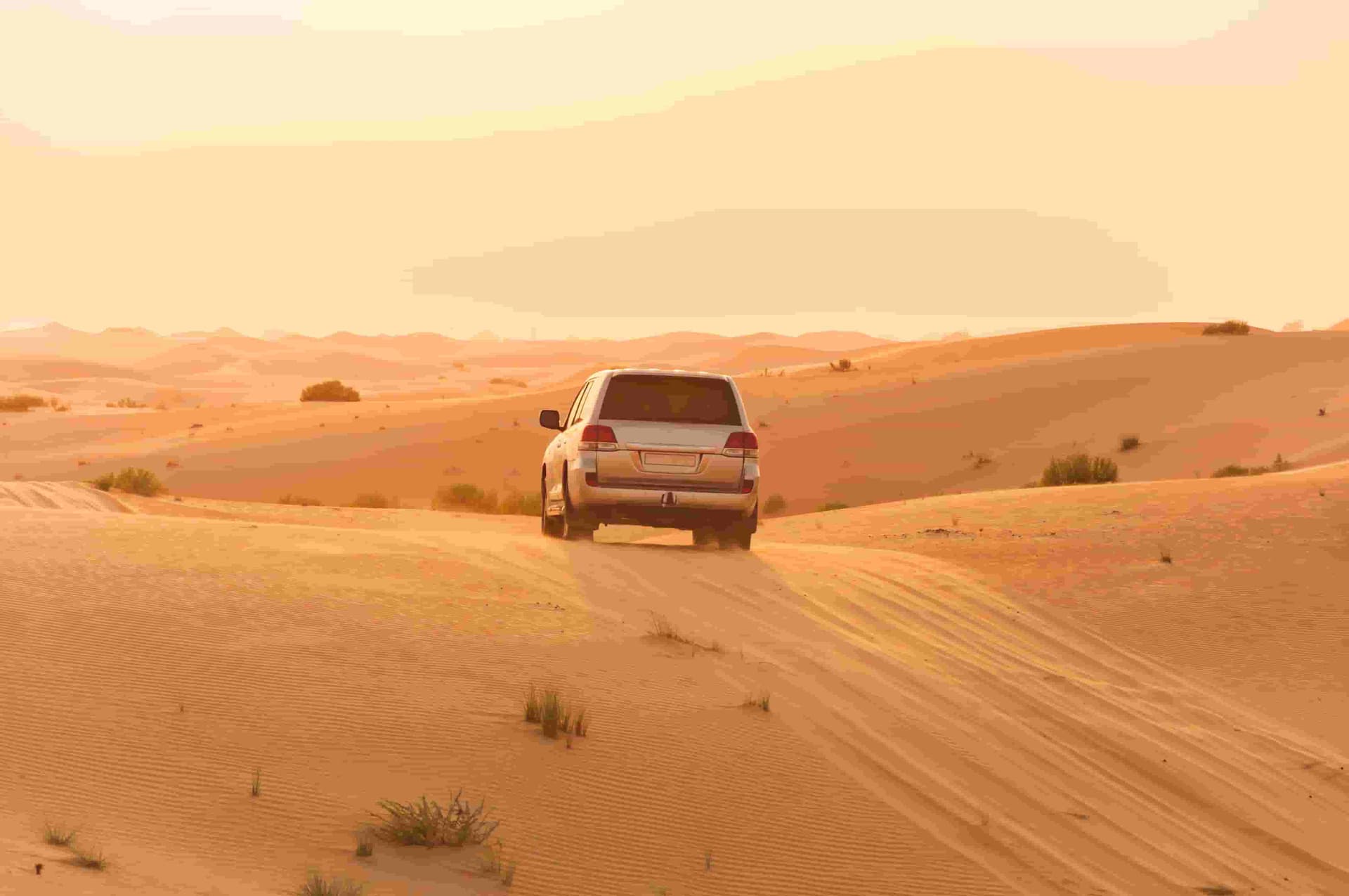 Desert Dune
