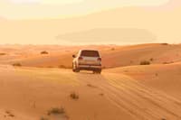 Desert Dune