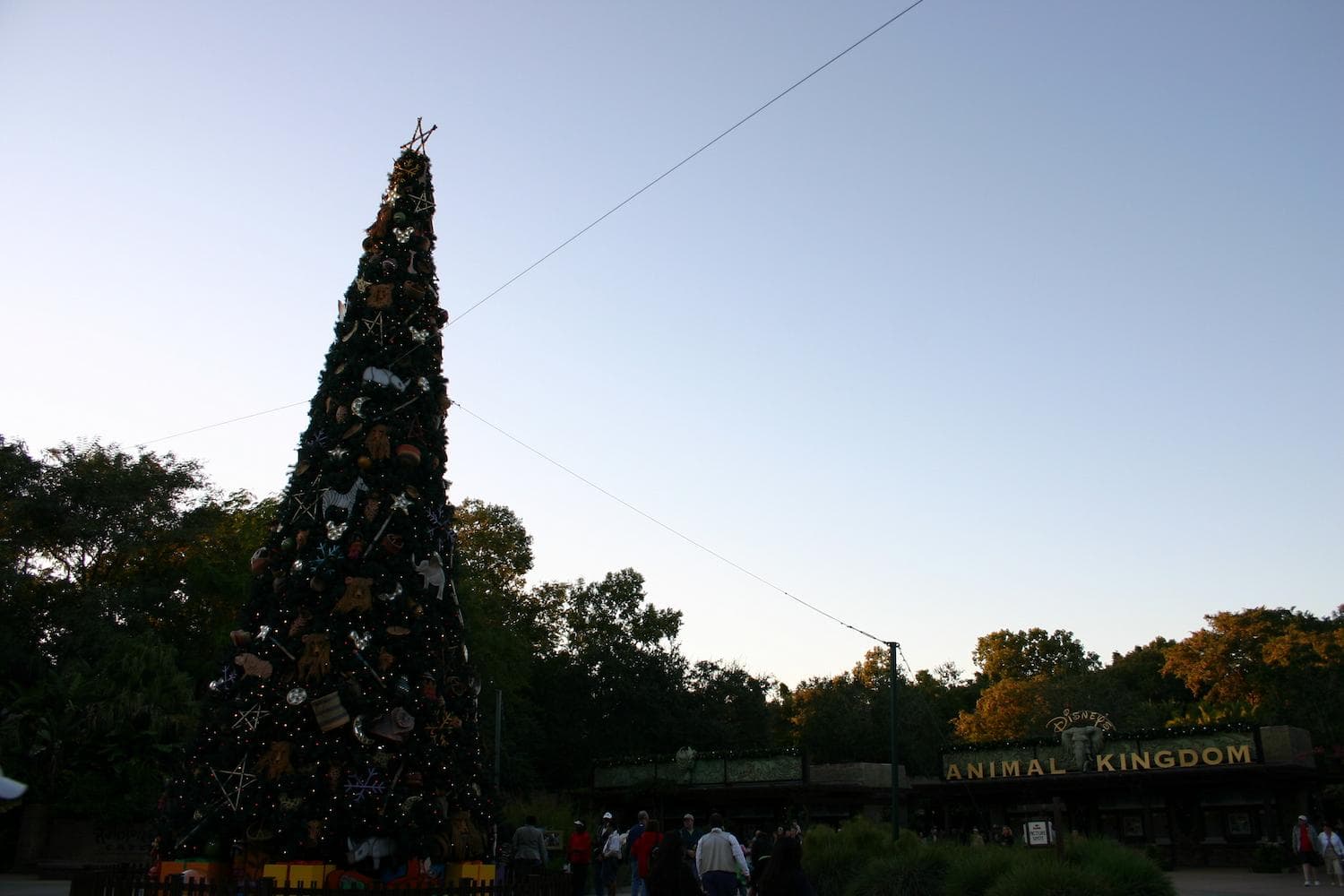 Disney’s Animal Kingdom