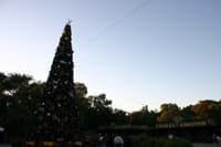 Disney’s Animal Kingdom