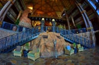 Disney’s Animal Kingdom