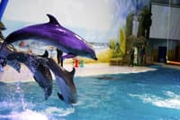 Dubai Dolphinarium