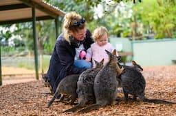 Featherdale Wildlife Park 