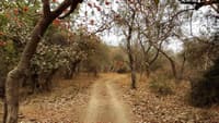 Kumbhalgarh Wildlife Sanctuary