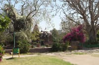 Mandore Gardens