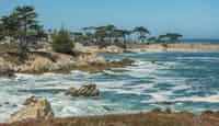 Monterey